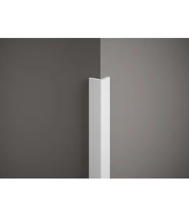 Rohová lišta na stěnu DMS 200 x 2,2 x 2,2 cm ochrana proti poškození